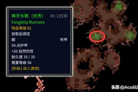 魔兽世界怀旧服：盗贼、野德看过来，不花钱的P5自然抗装备在这里图片