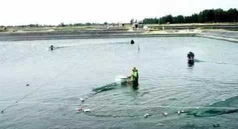 养鱼虾这么多年，这些进水细节你未必知道，必读