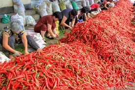 农村创业种地，你要会24节气农耕顺口溜，学会了种粮种菜不求人图片