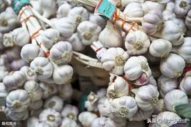 原来这些猪病用大蒜就可以治好！建议收藏图片