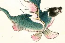 奇书《山海经》中的鱼和蛇，人面、长脚、还会飞，海陆空三栖动物图片