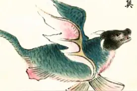奇书《山海经》中的鱼和蛇，人面、长脚、还会飞，海陆空三栖动物图片