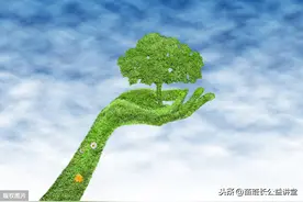 谨防林木果树建园栽植后的假活图片