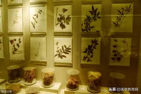 六味地黄丸的11种新用途，建议收藏！图片