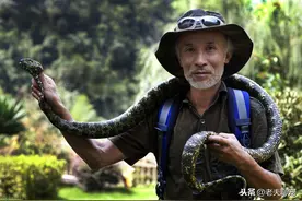 莽山烙铁头是毒性最强体型最大的毒蛇？辟谣：其实只是个"吹牛蛇"图片