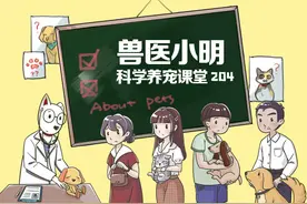 狗狗也能预测天气变化？它们身体和情绪的变化，其实都是暗示图片