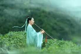 一斤黄金一两茶，一口茶一两黄金，到底什么茶这么金贵？图片