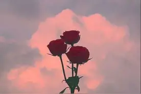「晚安·好梦」你问我爱你有多深，月亮可以代表我的心图片
