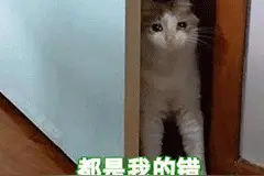 绿茶猫表情包-吵架无敌图片