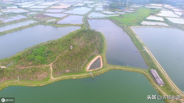 纯干货！水产养殖如何培育好一池好水，养殖户必看