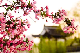 在我爱的世界里，曾经是你，现在是你，往后余生依旧还是你图片