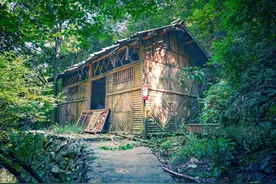 故事：幼子失踪，他想进山去寻，村里老人说“日落进山必死无疑”图片