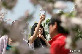 中国对联出句：犹记当年春正好；邀你对句图片