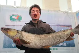 这种鱼有什么能耐，被称为水中老虎，这种肉食性鱼该怎么钓图片