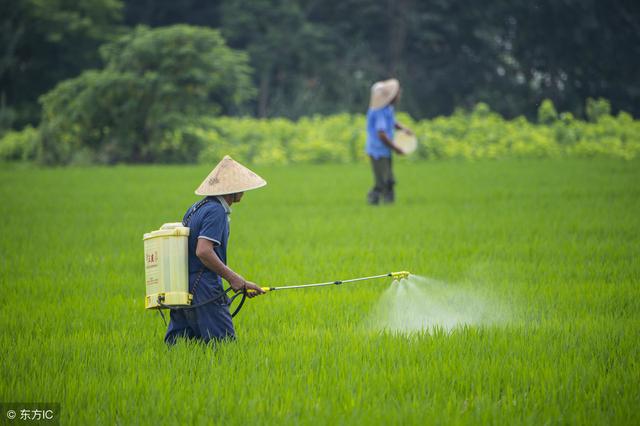 这药用好了，把病防掉十之八九不成问题！44个问答告诉你！