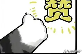 漫画《表情包》我常常因为误会被做成了表情包图片