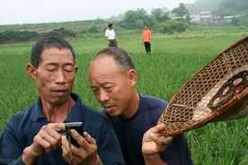 "退耕还林该不该继续？"北方内蒙草原出现大面积退化情况，堪忧图片