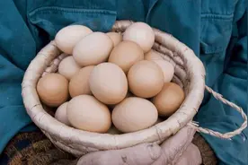 故事：儿媳怀孕乡下母亲送一篮鸡蛋，妻子挥手要丢掉，老公打开泪湿衣襟图片