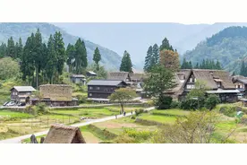 故事：善良的接生婆图片