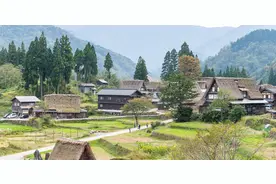 故事：善良的接生婆图片