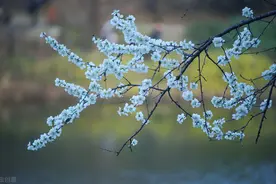 妻子病重，丈夫公然带情人回家，妻子痊愈后布局3年，终一雪前耻图片