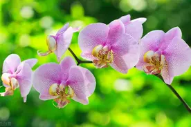 最爱的你，不管在哪里，我都希望有人好好珍惜你，好好心疼你图片