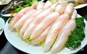 干鱼肚泡发技巧视频 2026年干鱼肚泡发简易教程 干鱼肚泡发技巧视频 2026年干鱼肚泡发简易教程