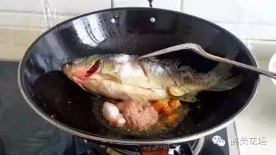 鱼鳔的使用方法视频 鱼鳔的使用方法视频讲解