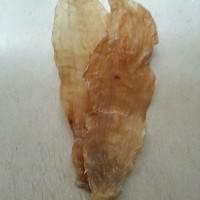 花胶排骨石斛杞子炖汤 2025年花胶排骨石斛杞子炖汤怎么做