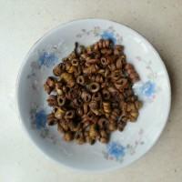 石斛花胶排骨汤的做法窍门 2025年石斛花胶排骨汤的做法窍门视频 石斛花胶排骨汤的做法窍门 2025年石斛花胶排骨汤的做法窍门视频