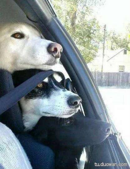 现在知道《侠盗飞车》的是不是的，孩子都在看喜羊羊了！