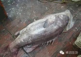 黄花鱼有几种 2026年黄花鱼有几种做法