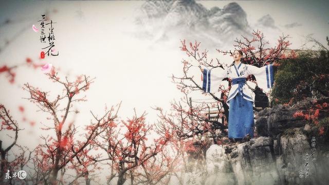 小说：自从穿越到这里，她便将小说中会出现的被害场景想了个透彻