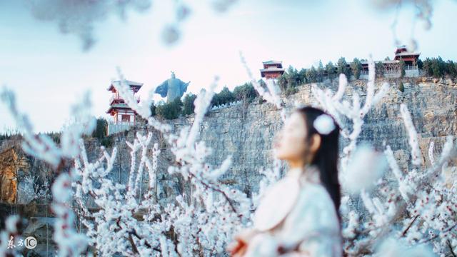 春丽的劫难攻略(小说少女是占卜师)