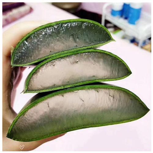 芦荟胶对付鸡皮肤