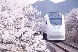 北京北站、清华园站下月停运，最美列车S2线起始站调整图片