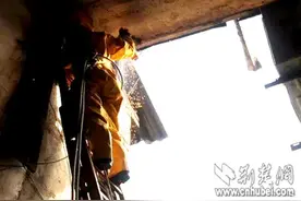 孝昌消防一年灭掉马蜂窝360余个 练就“灭蜂大法”(图)图片