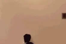 萌化了 自从主人买了这个，家里的喵星人好奇心就爆表了！图片