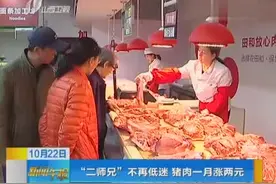 “二师兄”不再低迷 猪肉一月涨两元视频封面