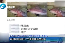 男子朋友圈晒大鱼被刑拘 系国家保护动物视频封面