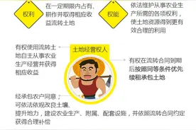 一张图弄明白农村土地“三权分置”图片
