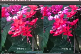 中枪了么？部分iPhone 7 Plus拍照出问题图片