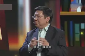 大脑中的血管有多长，专家说出数字后，撒贝宁完全不敢相信视频封面