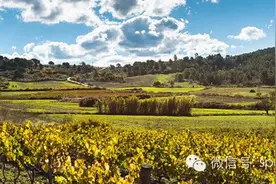 西班牙旅游 走访佩内德斯产区的7大理由图片