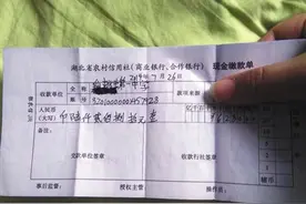 湖北仙桃一中500多名高三学生无学籍图片