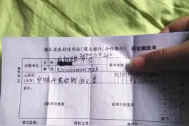湖北仙桃一中500多名高三学生无学籍图片