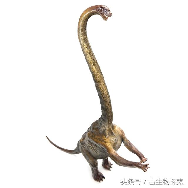 中国百年十大恐龙——盘足龙