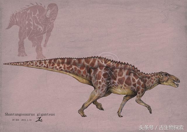 中国百年十大恐龙——山东龙