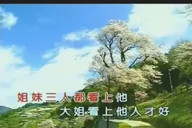 杨钰莹《桃花运》姐妹三人都看上他，大姐看上人才好视频封面