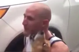 看着看着就泪目了！狗狗和主人分开多年后的重聚，真的太感人了！#正能量 #捕捉身边的美好